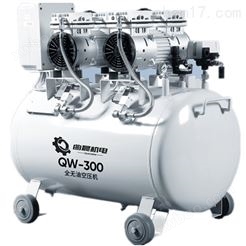 QW-300空压机