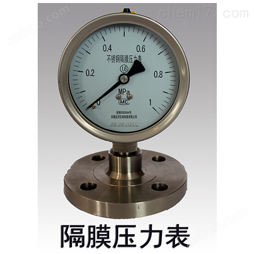 Y-100BFZ/Z/MF（B）/316全不锈钢隔膜压力表（0-1.6MPa）