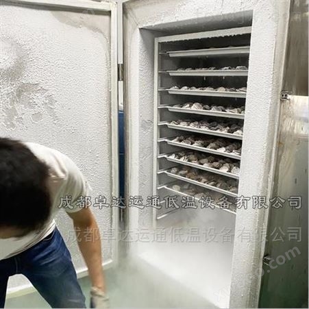 梭子蟹海鲜液氮速冻柜