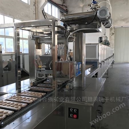 奶酪棒成套设备 上海合强酸枣软糖生产线 糖果生产线