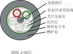 标准松套管层绞式轻铠光缆(GYTS)