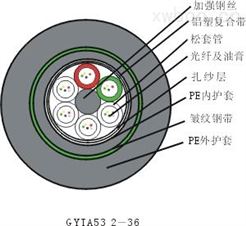 標準松套管加強鎧裝光纜(GYTA53)
