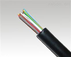 HYA-20X2X0.5通信电缆