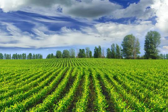 保障粮食安全之加强高标准农田建设