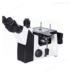 三目倒置式显微镜