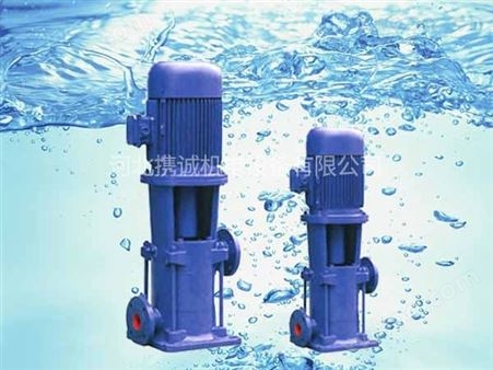 LG系列泵系立式单吸多级分段式离心泵