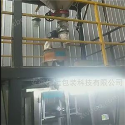 上海粉剂包装机厂家