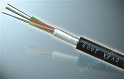 WZR-DJFYJP2E 5*2*1.5辐照交联低烟无卤阻燃计算机电缆