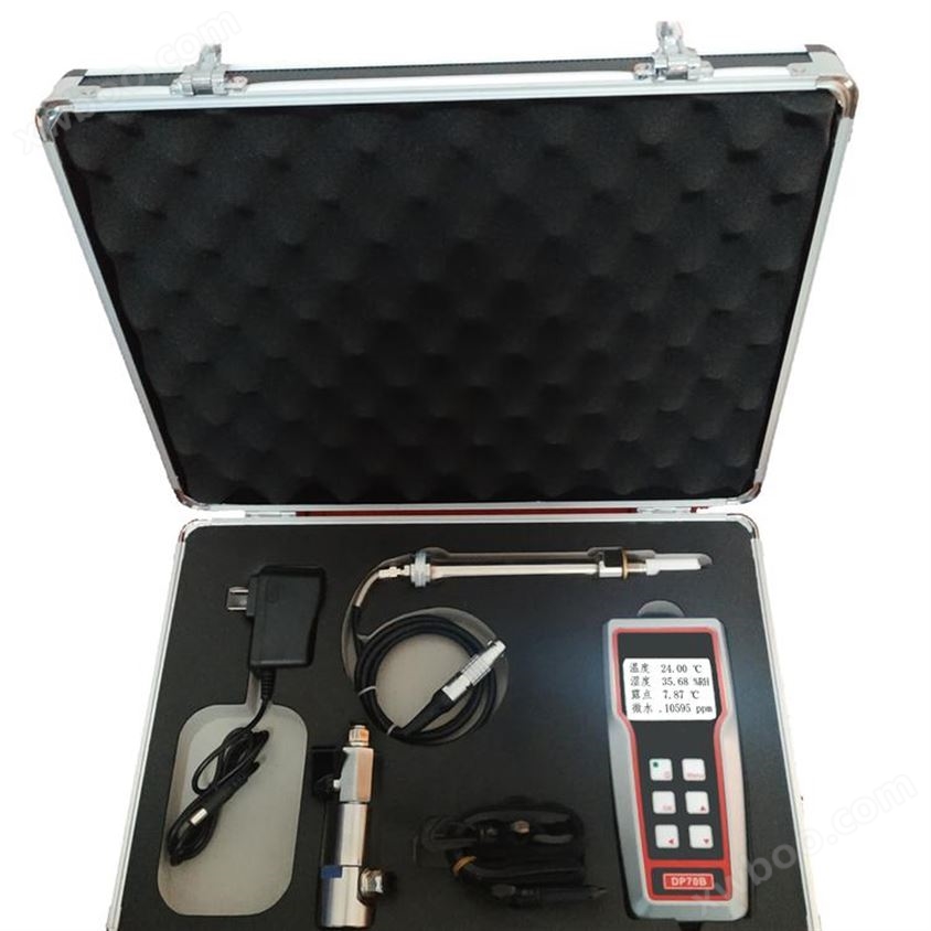 手套箱检测传感器 南京移动式水分检测仪DP70B标准