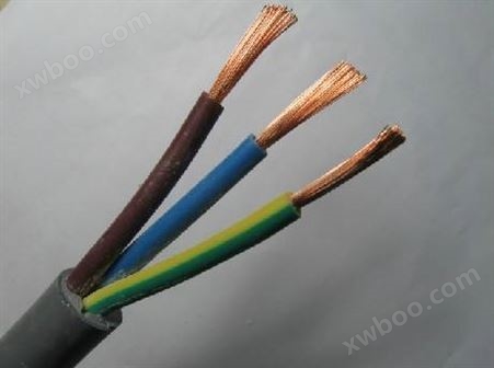 变频硅橡胶高温电缆-BPGGP2P