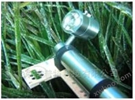 Shutter水体叶绿素荧光仪测定仪