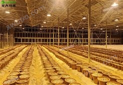 杭州温室马铃薯水肥一体化施肥滴灌系统清单预算