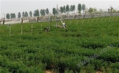 鑫农8SJY-2-32型水肥一体灌溉机