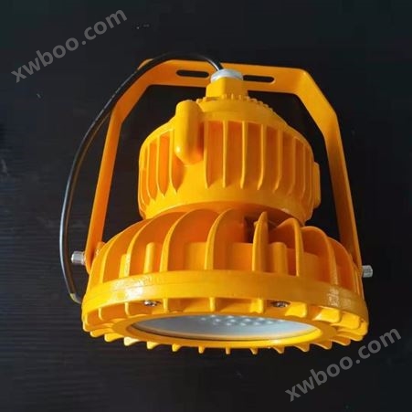 化工厂防爆免维护LED照明灯（IIC）KHD122-100W防爆灯