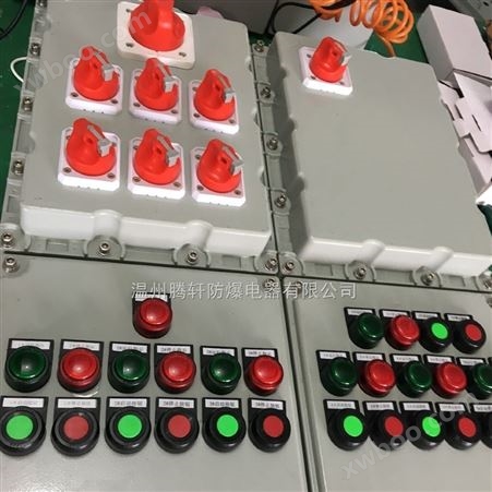 BXMD防爆配电箱IIB级 IIC级定做  防护等级IP65