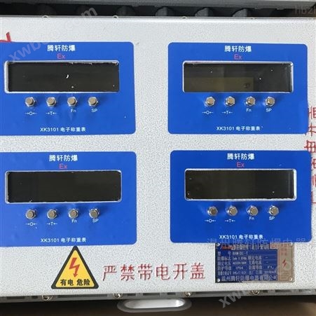 BXK电子称重仪表防爆控制箱