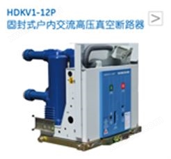 HDKV1-12P固封式户内交流高压真空断路器