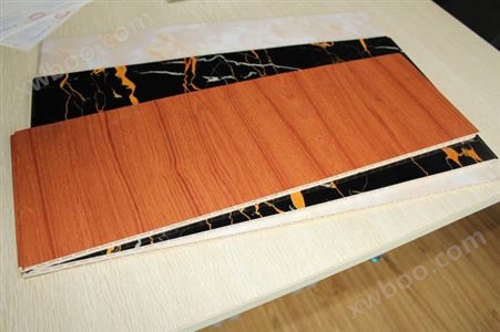 竹木纤维墙板覆膜机4
