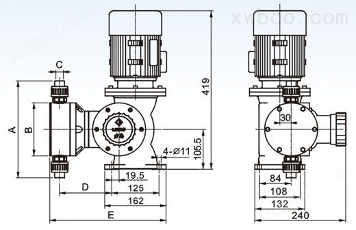 进口机械隔膜式计量泵(图1)