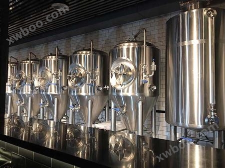 HL山东豪鲁豪鲁300L鲜啤酿造设备厂家 啤酒设备