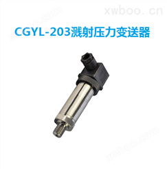 CGYL-203溅射膜压力变送器