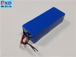 48V10AH磷酸铁锂电池