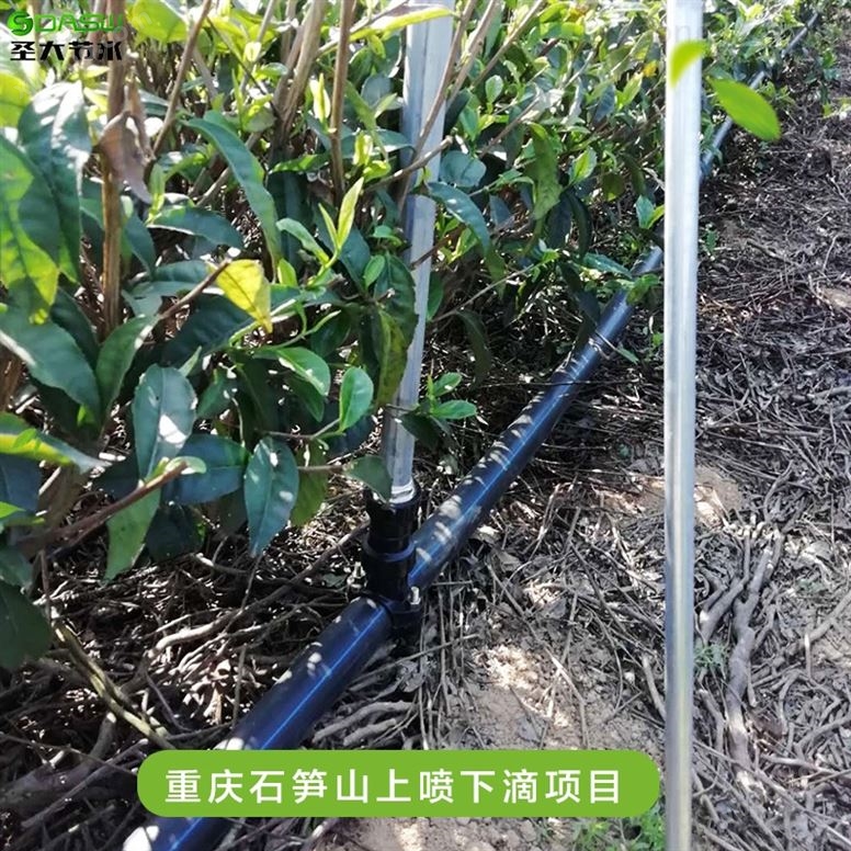 重庆石笋山上喷下滴项目施工 茶园节水灌溉水肥一体化施肥机型号