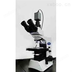 奥林巴斯CX31显微镜（双目、三目、数码）
