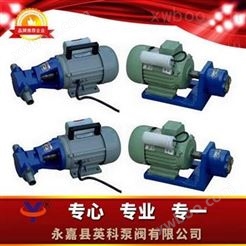 微型输油齿轮泵