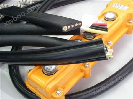 2芯-30芯带钢丝圆型电动葫芦电缆RVVY2G