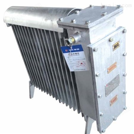干烧型RB-2000/127（A）煤矿用防爆电热取暖器
