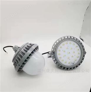 LED平台灯 海洋王同款泛光灯 电厂灯50W