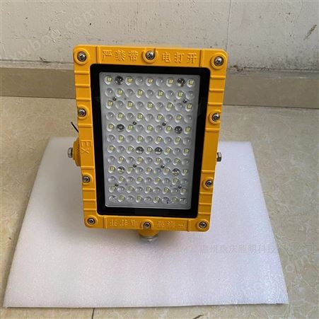 LED防爆泛光灯100W 化工厂加油站防爆灯具