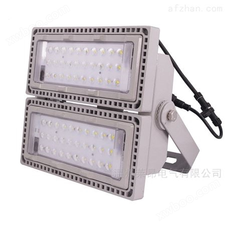 QC-FL042-A免维护LED泛光灯防水防尘防腐灯